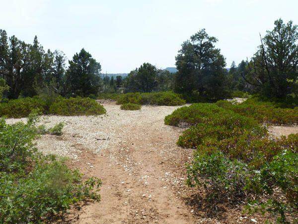 Lot 2 Zion Panorama Phase 4 - Photo 1