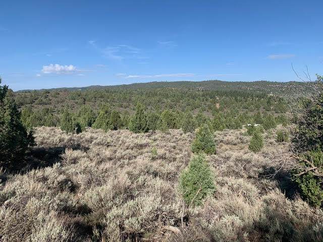 20 Acres Long Valley - Photo 1