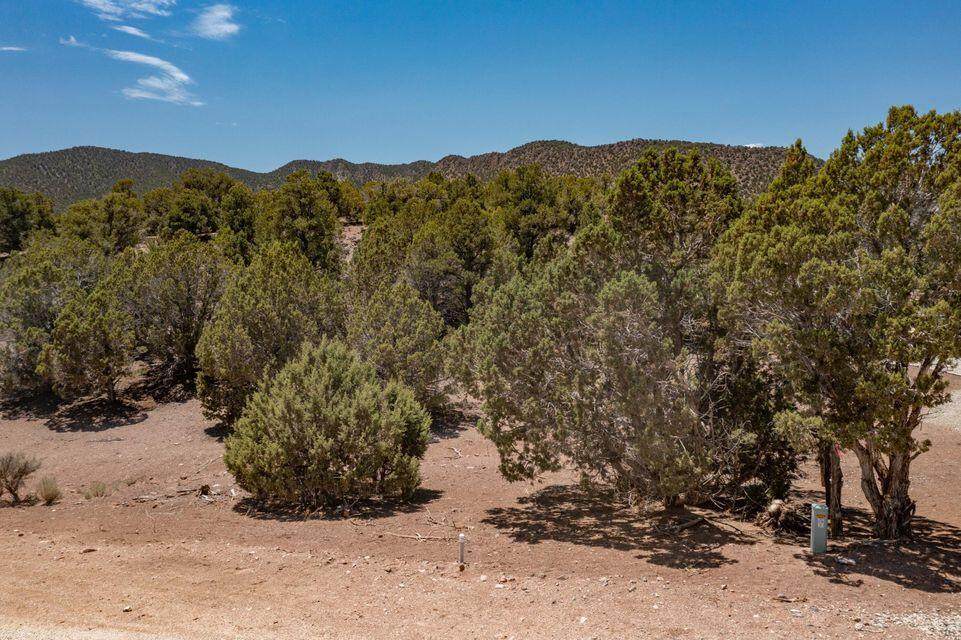 4260 Little Pinto Creek - Photo 1