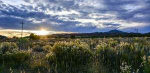 Hwy 56 (Lot 2 M And N Ranch) - Photo 1