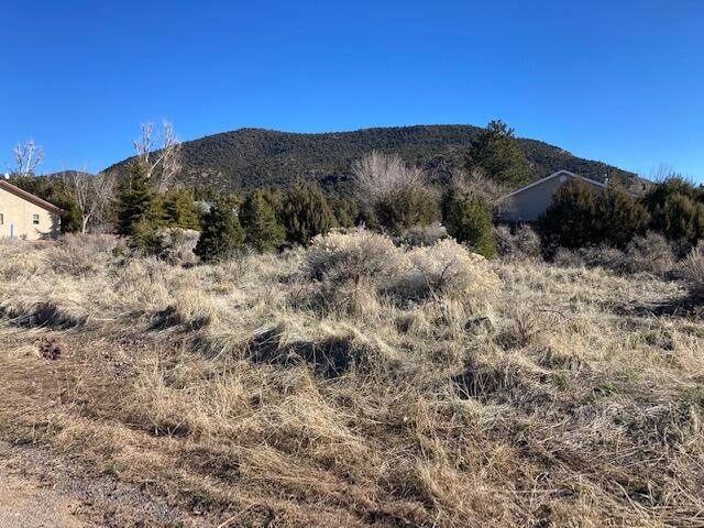 Dde-1-7-1 Launa Ln/Lodge Rd - Photo 1