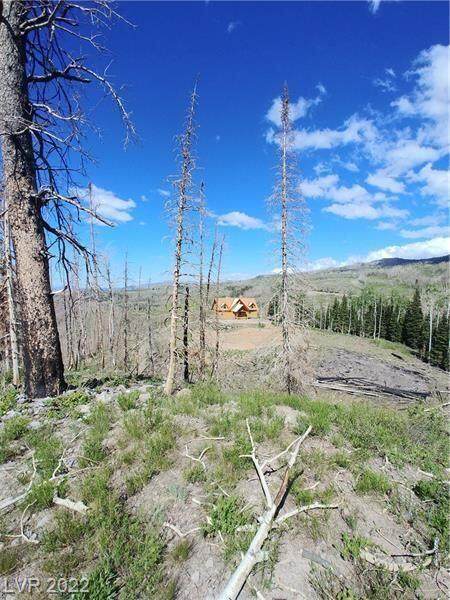 270 Bobcat Rd - Photo 1