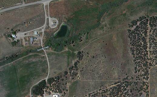 20.13 Acres Off Of Hwy 56 - Photo 1