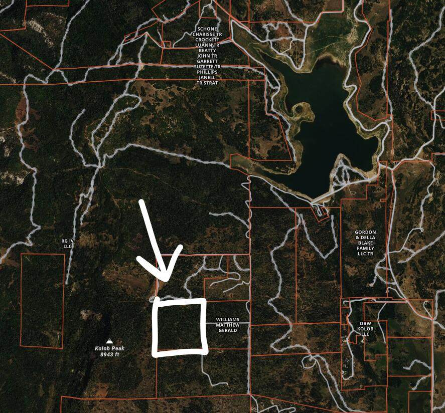 ~ 40 Acres On Kolob Peak Near Reservoir - Photo 1