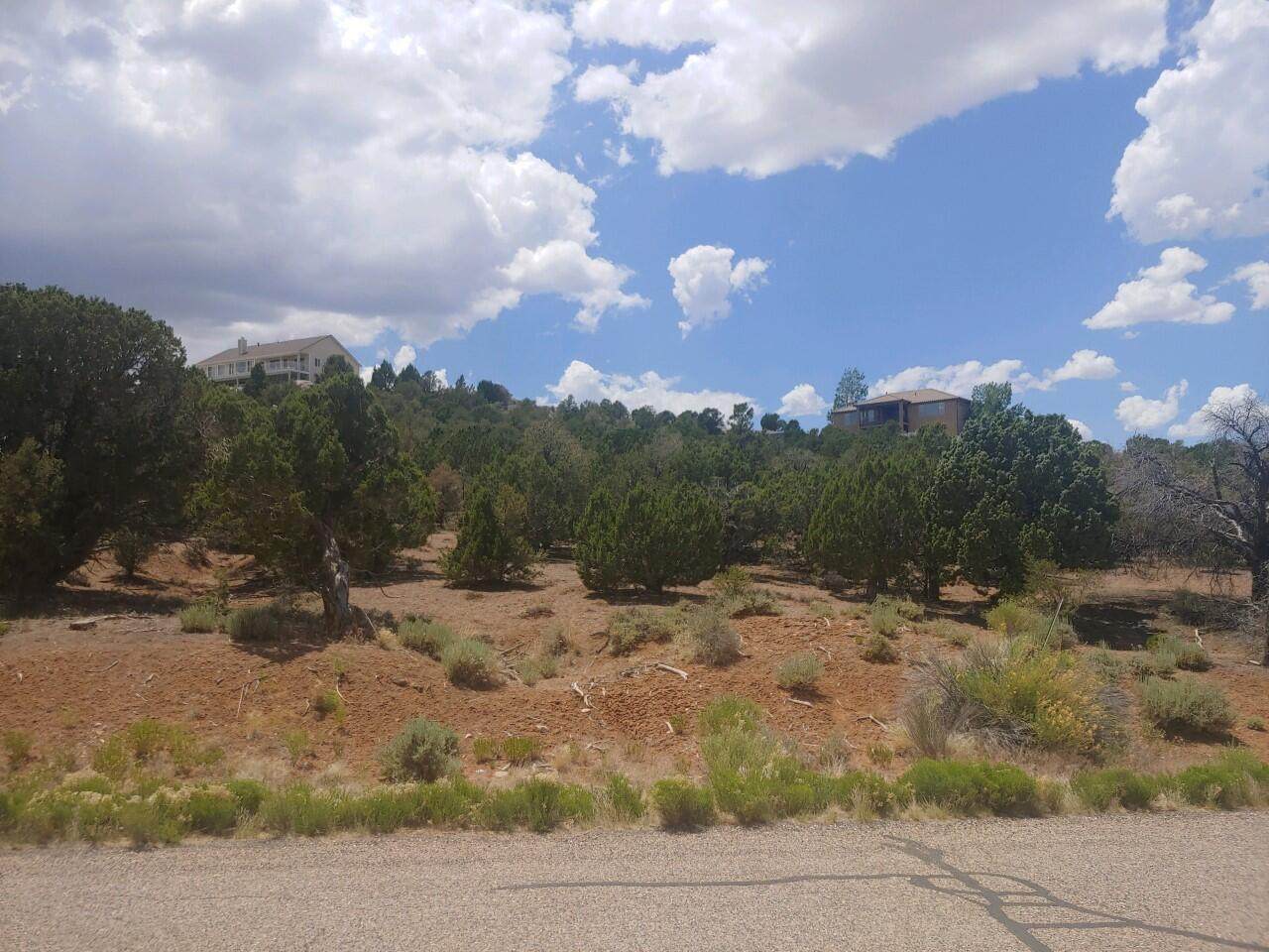1408 Cross Hollow Dr - Photo 1