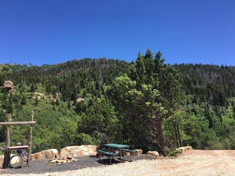 Two Pines - Photo 1