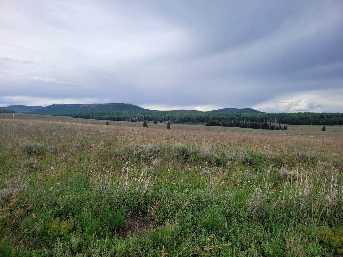 3 & 4 Meadow Lake Dr - Photo 1