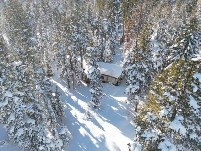 785, 795 Forest - Photo 1