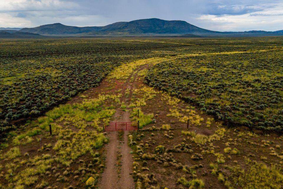 87 Acres W Water/Well - Photo 1