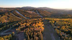  Elk Passage - Photo 1