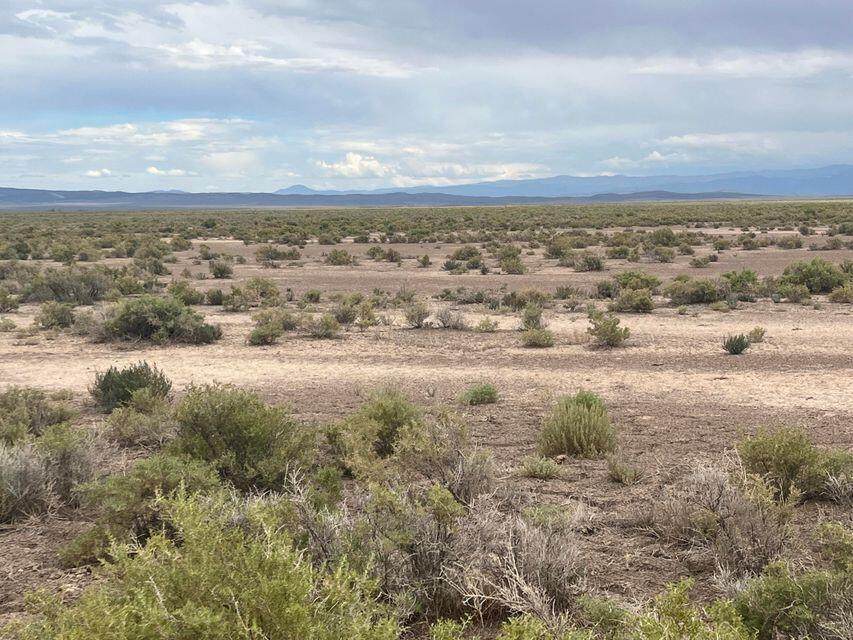  91 Acre E-0711-0000-0000 - Photo 1