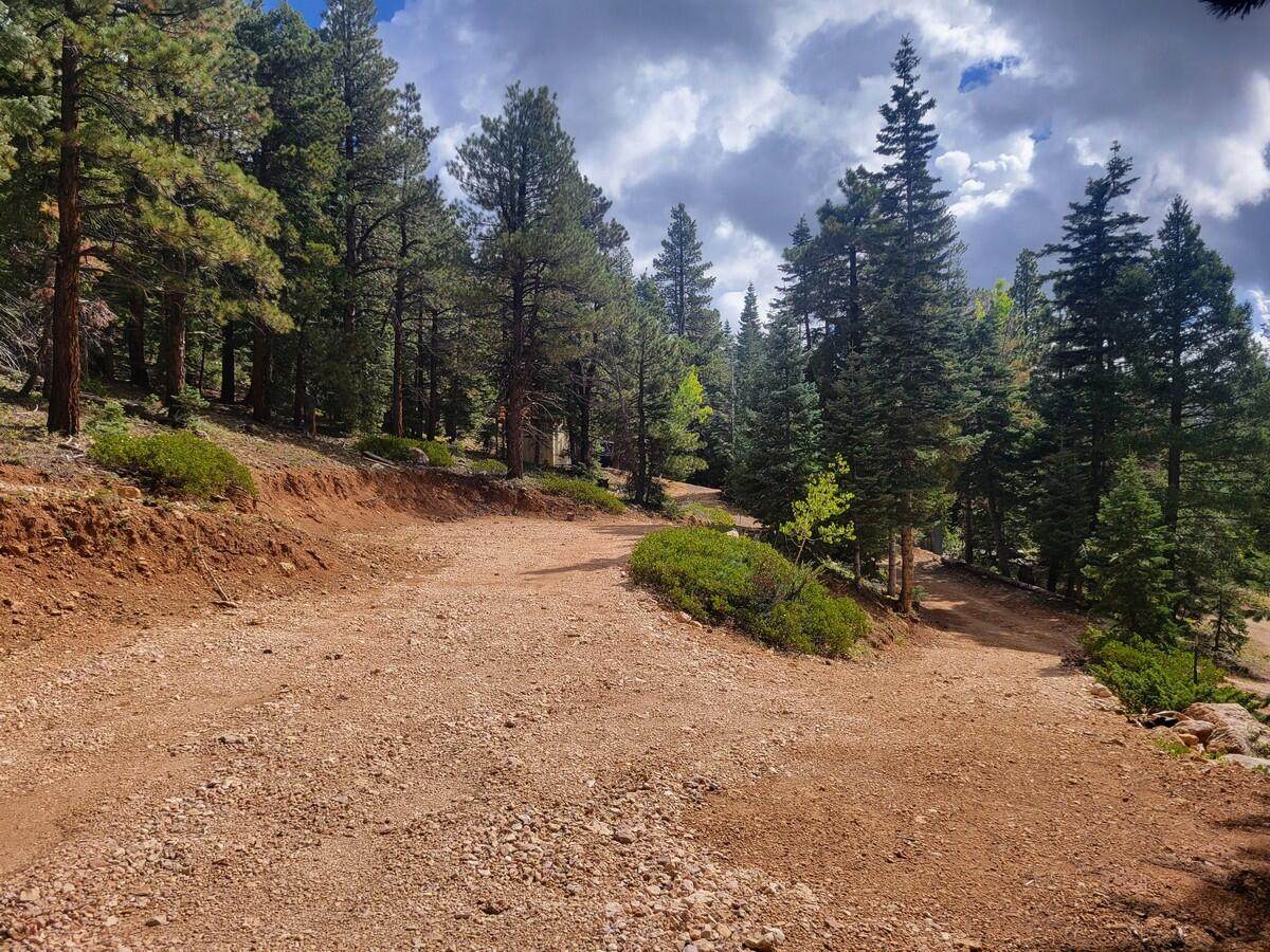 5340 Bitterberry Cir - Photo 1