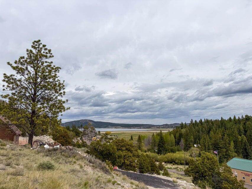 Lot 69 Forest Garden - Photo 1