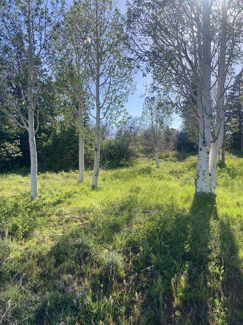 271 Whispering Pines Rd - Photo 1