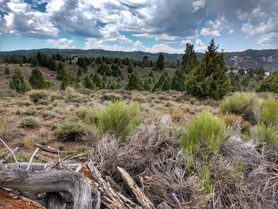 4300 Uinta Dr - Photo 1