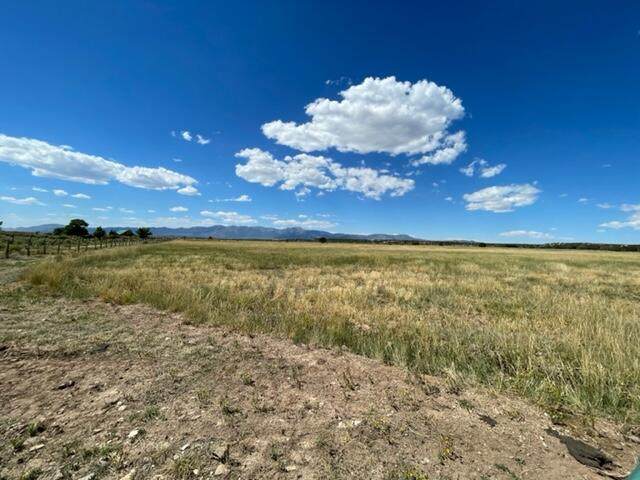 2699 Snowdrift Rd - Photo 1