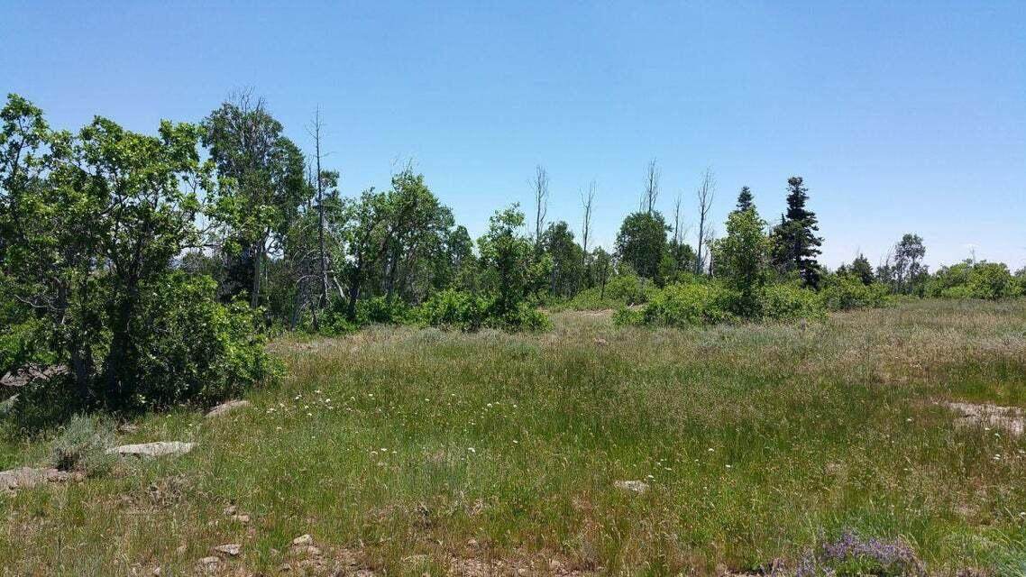 Lot 8 Spring Drive - Photo 1