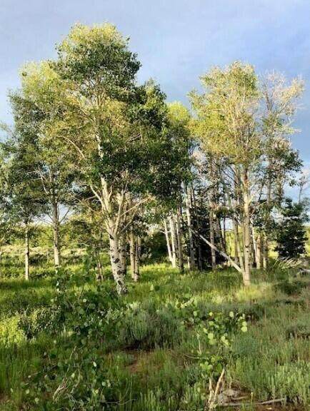 245 Whispering Pines Rd - Photo 1