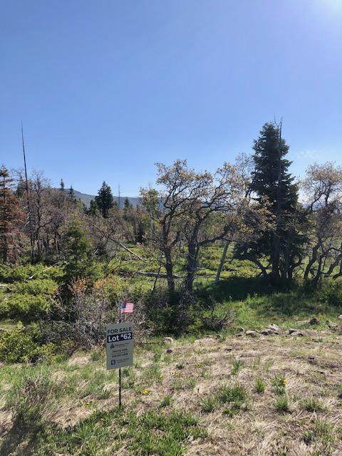 Whispering Pines Lot#62 - Photo 1