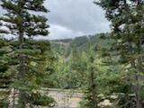 324 Hwy 153 Eagle Point Resort - Photo 55