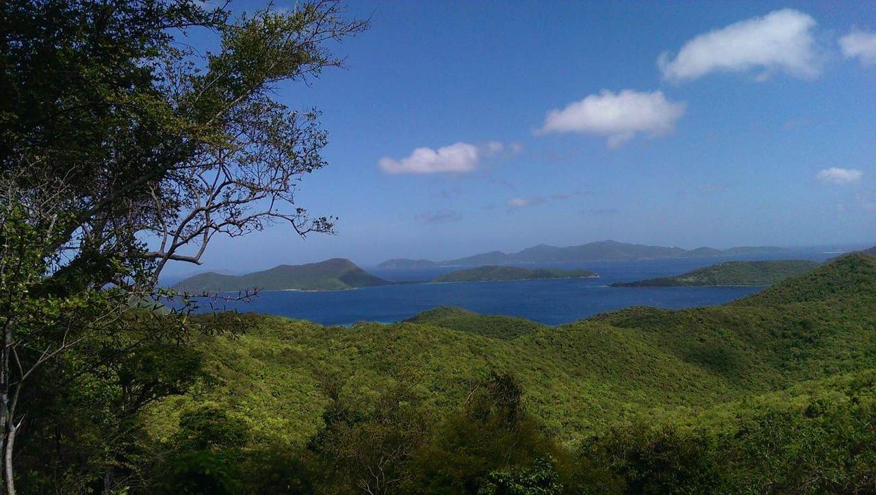 5I Leinster Bay - Photo 1