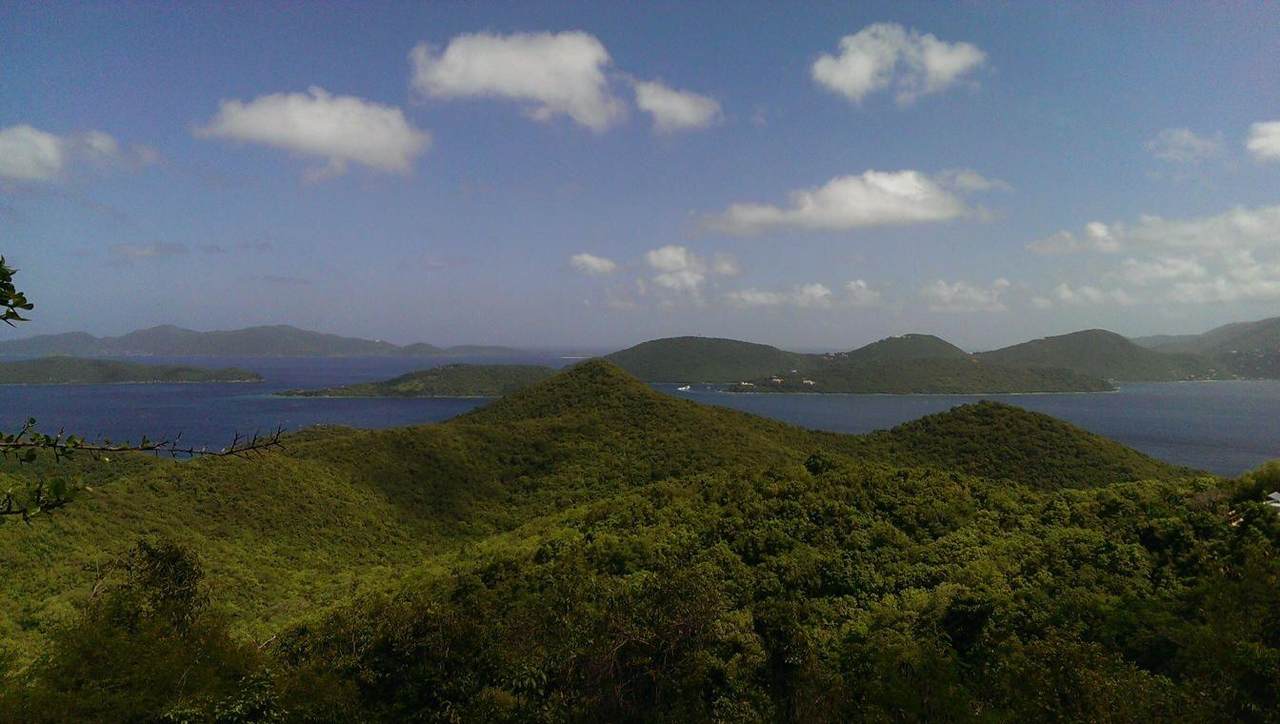 5C Leinster Bay - Photo 1