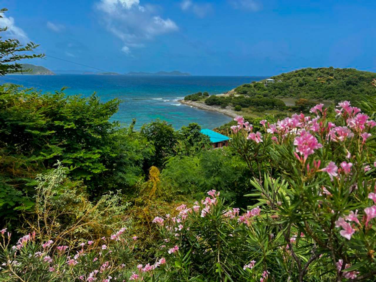 13BB-4 Hard Labor - Photo 1