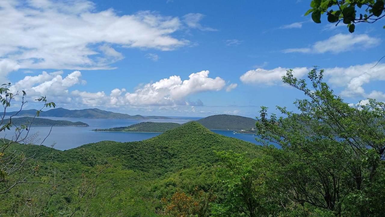 5-I Leinster Bay - Photo 1