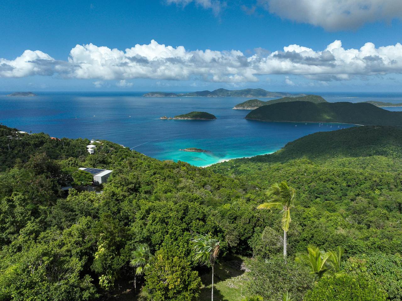 1-B REM Catherineberg - Photo 1