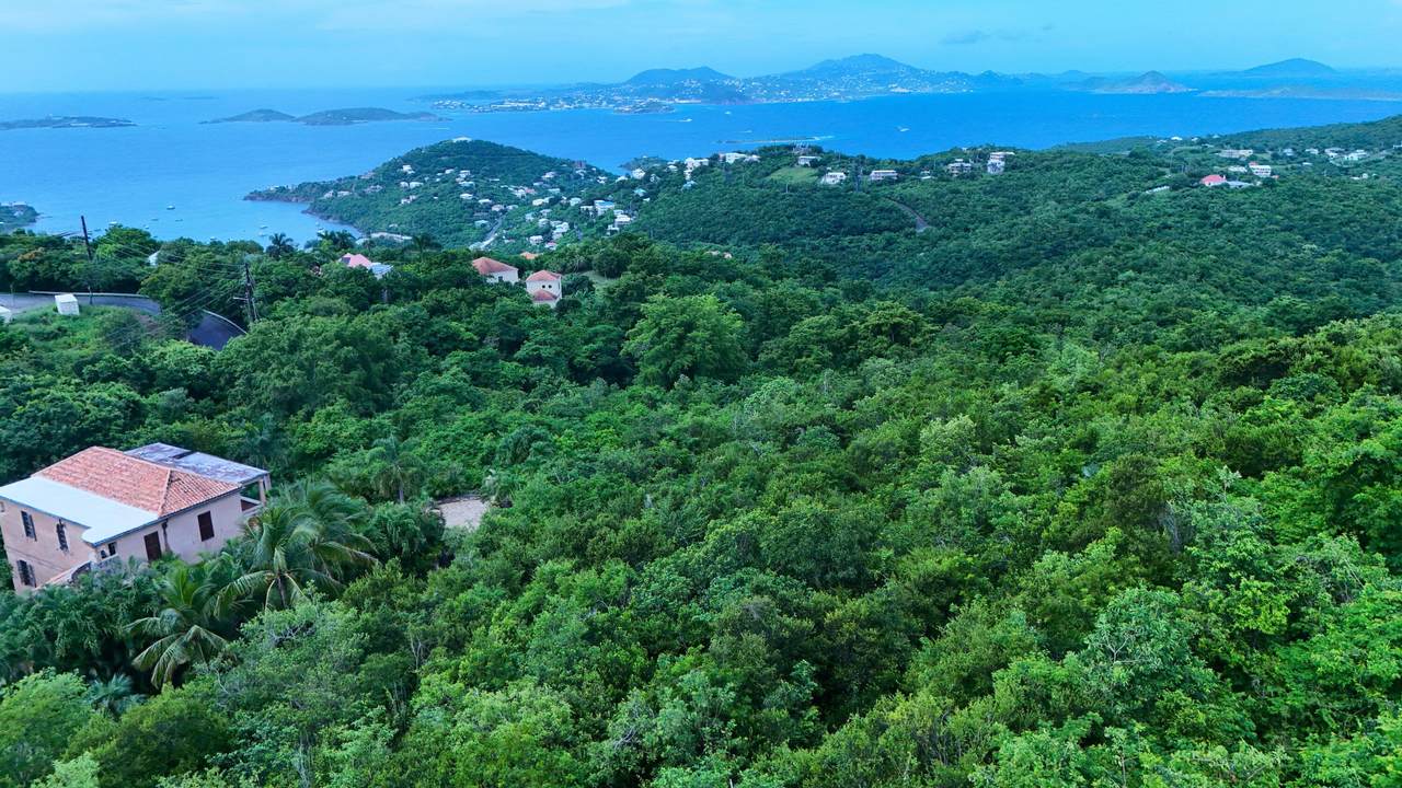 4-72 Sans Soucci & Guinea Gut - Photo 1