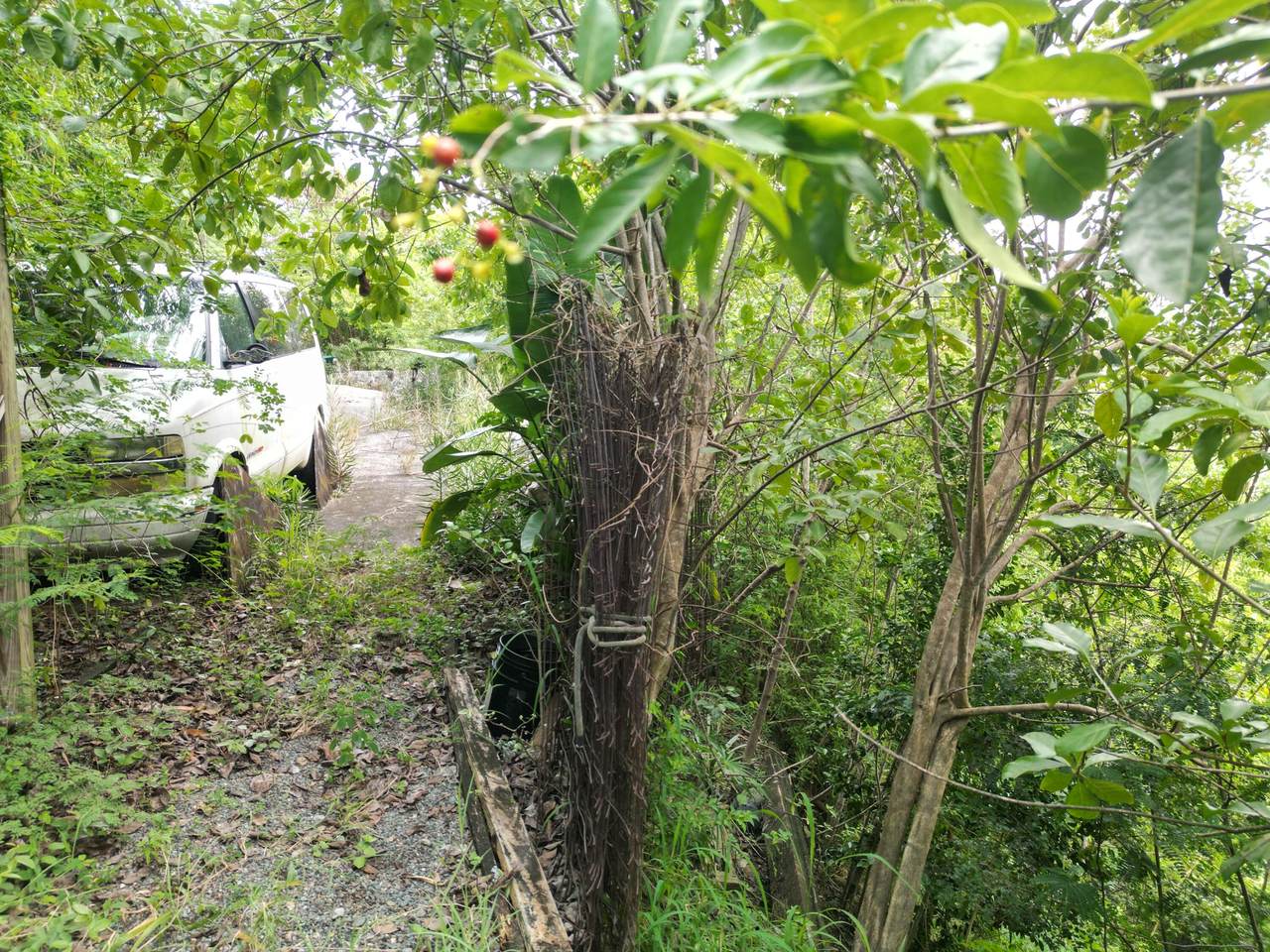 https://bt-photos.global.ssl.fastly.net/stjohn/1280_boomver_1_25-346-2.jpg