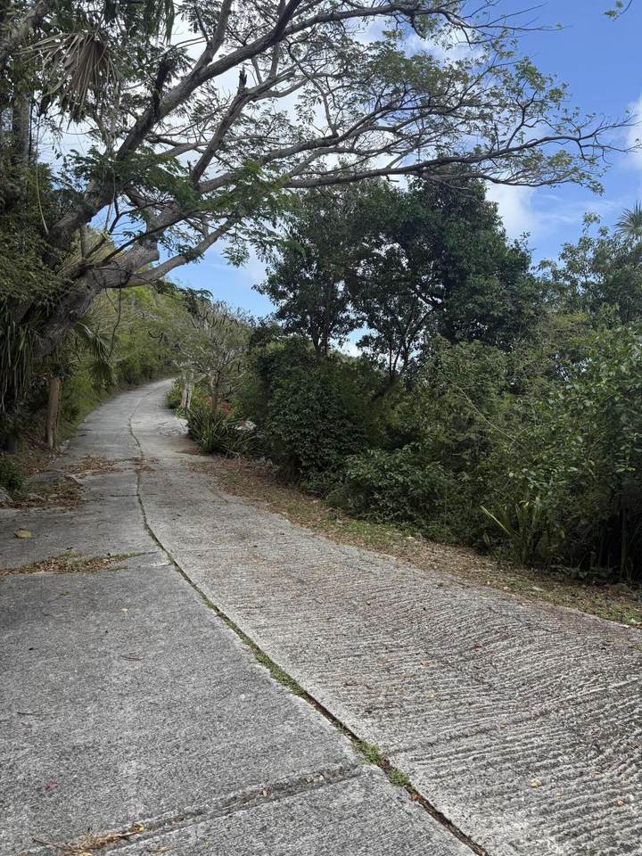 https://bt-photos.global.ssl.fastly.net/stjohn/1280_boomver_1_26-102-2.jpg