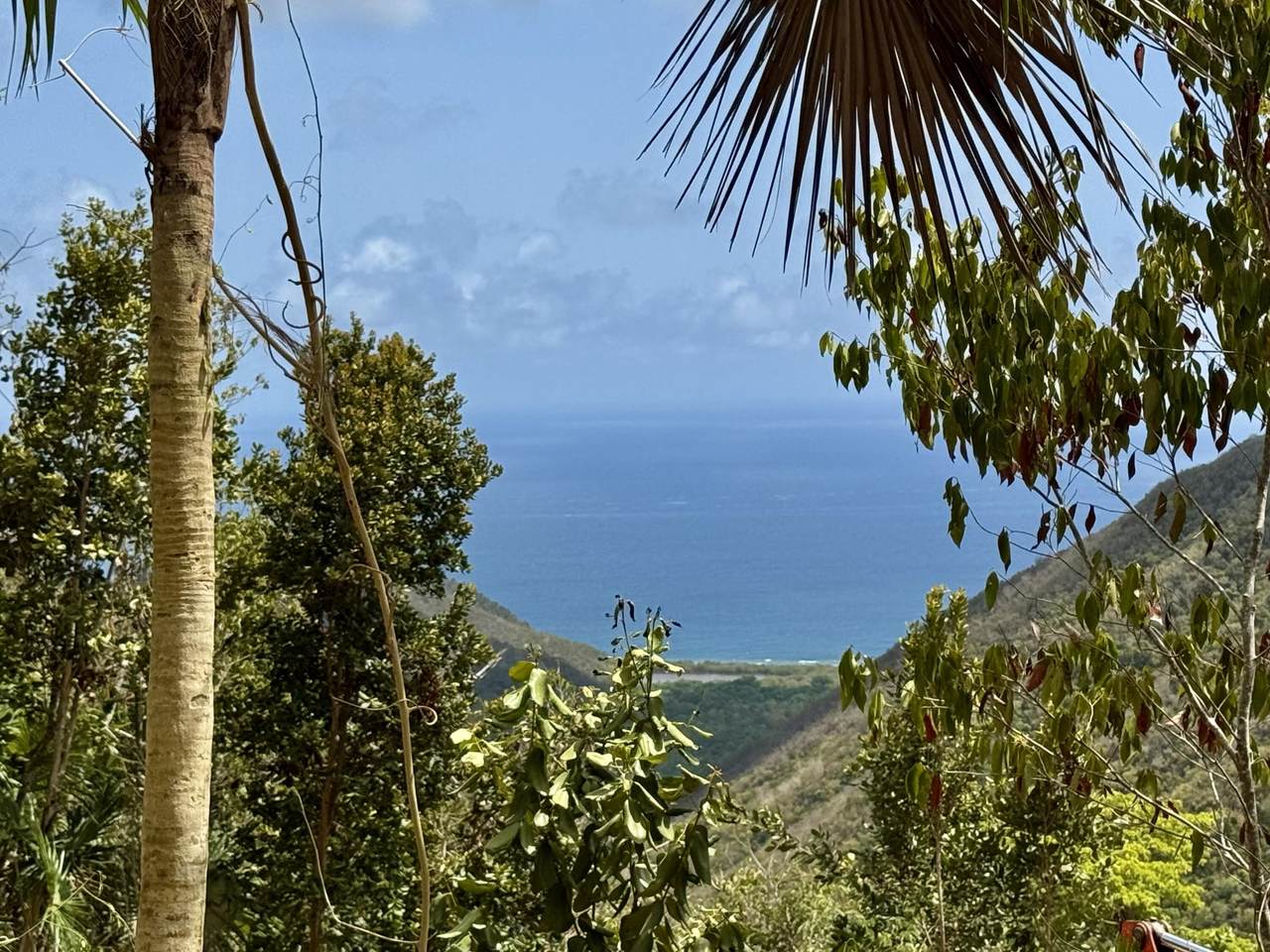 https://bt-photos.global.ssl.fastly.net/stjohn/1280_boomver_1_26-215-2.jpg