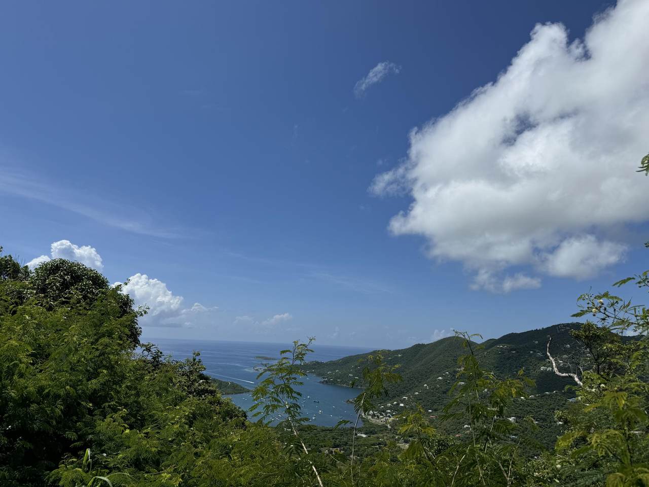 6-3-87 Carolina - Photo 1