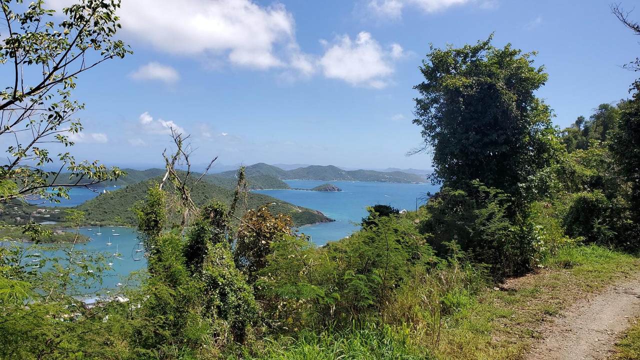 10-26-2&3 Carolina - Photo 1