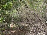 409 Chocolate Hole - Photo 11