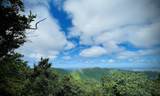 10-50 Carolina - Photo 7