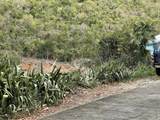 87 Fish Bay - Photo 10