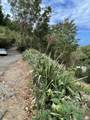 87 Fish Bay - Photo 7