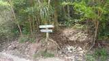 5-I Leinster Bay - Photo 5