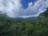 10-25f Carolina - Photo 1