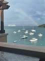 86-3 & 86- Cruz Bay Town - Photo 3