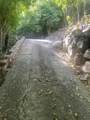 13 Saunders Gut - Photo 26