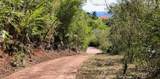 4-77 Sans Soucci & Guinea Gut - Photo 14