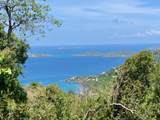 4-77 Sans Soucci & Guinea Gut - Photo 7