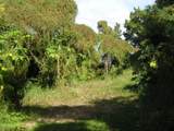 9-1 Peter Bay - Photo 8