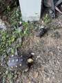 6B-22 St. Quaco & Zimmerman - Photo 45