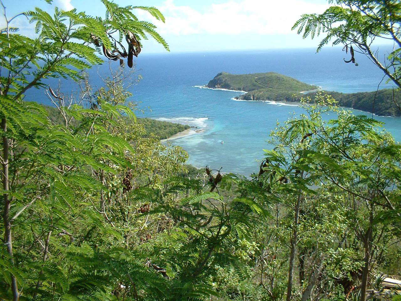 71-18 Fish Bay - Photo 1