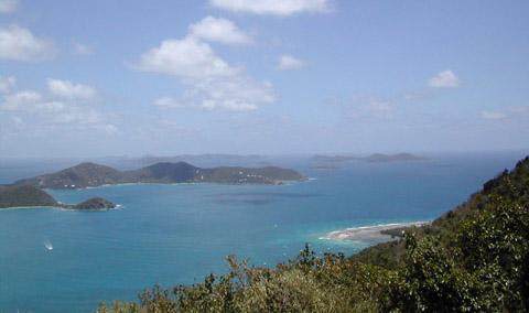 O Saunders Gut - Photo 1