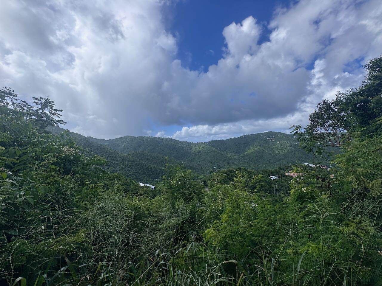 10-25f Carolina - Photo 1